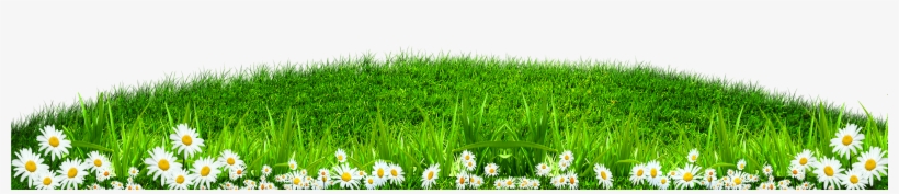 Grass Border Png - Wallpaper, transparent png