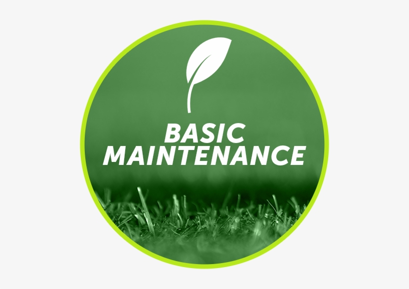 $100 Per Month * Basic Maintenance Will Include The - Grass, transparent png
