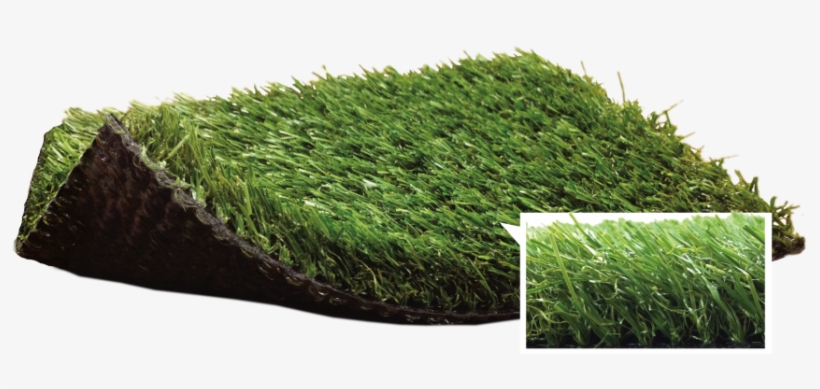 Grand-champion - Blue Grass Landscape, transparent png