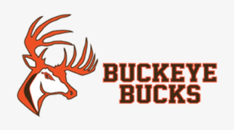 Click On Logo To Order Your Spirit Wear - Buckeye High School Logo, transparent png