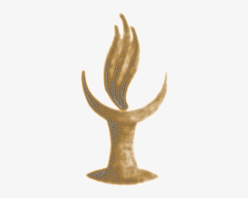 Chalice - Peniocereus Greggii, transparent png