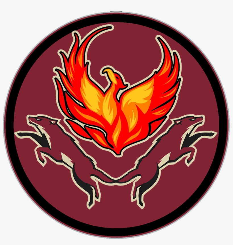 To Commemorate Tonight's Game, I Made A Phoenix Coyotes - Polyester Cotton Prints Zippered Phoenix Coyotes Soft, transparent png