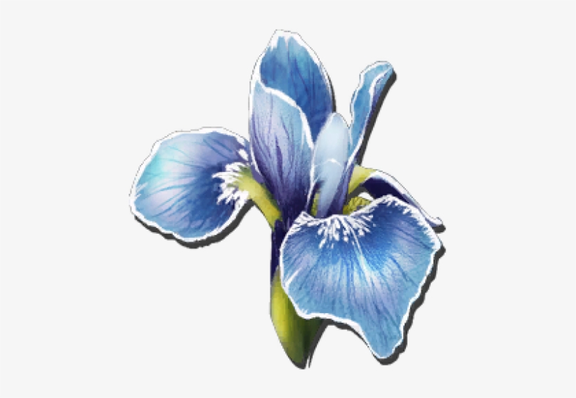 Rare Flower Ark, transparent png