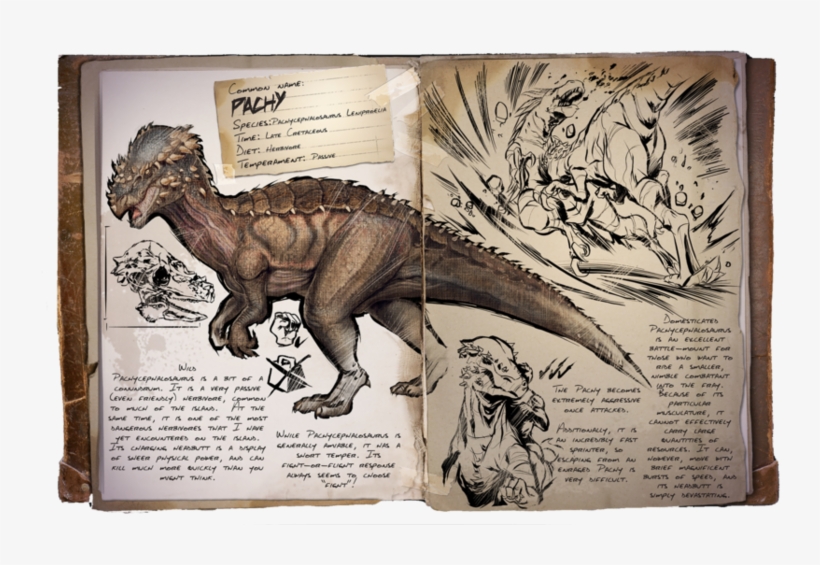 Survival Evolved Patch - Pachycephalosaurus Ark, transparent png