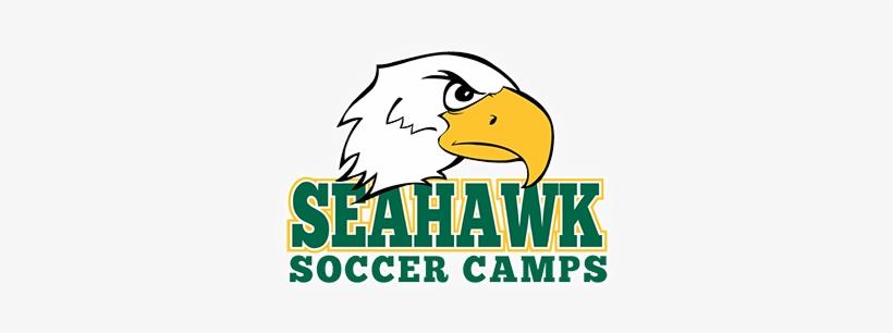 Seahawk Soccer - Football, transparent png