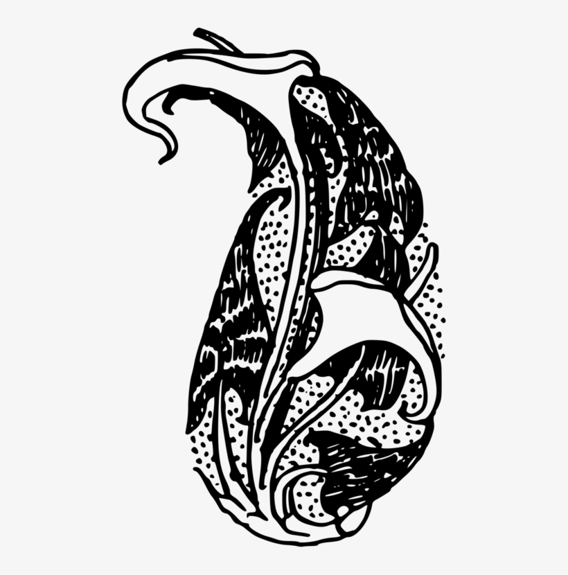 Paisley Drawing Motif Floral Design Art - Clip Art, transparent png