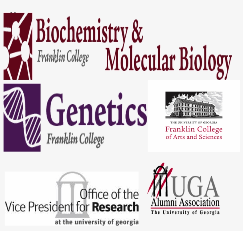 Thank You To Our Archaeal Interlab Participants - Graphic Design, transparent png