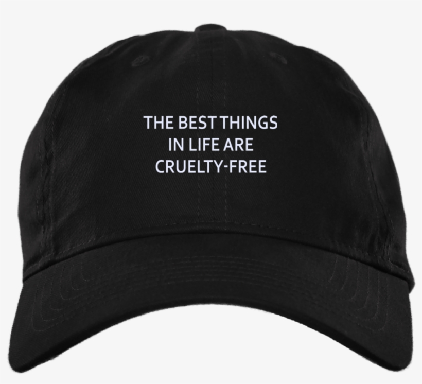 Best Things In Life Dad Cap - Men's Champion Classic Twill Hat, transparent png