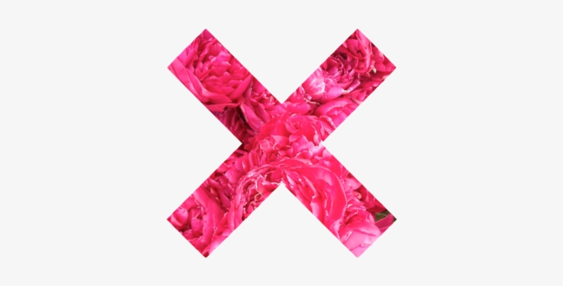 Flowers, Pink, And X Image - Pink X Png, transparent png