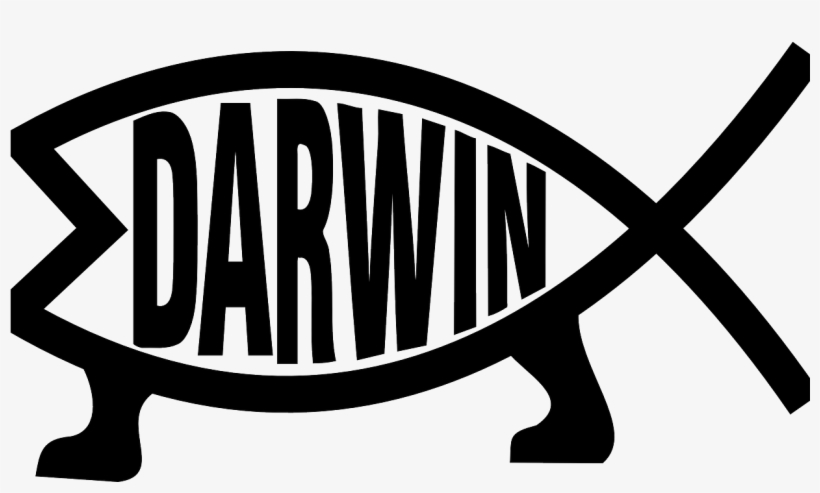 Darwin 160555 1280 - Evolution Clipart, transparent png