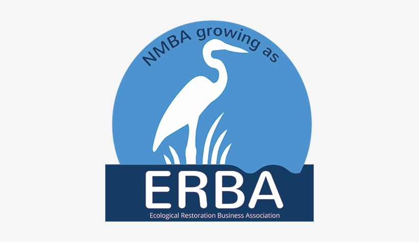 Erba - Lieber Allein, Als Gemeinsam Einsam, transparent png