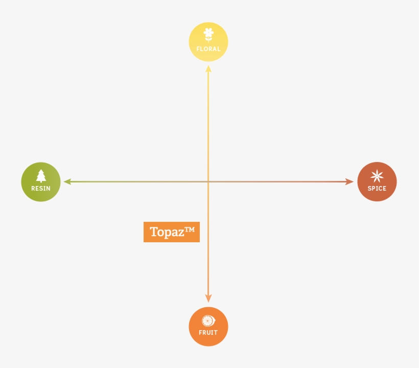 Analytical Data, Amount - Hop Flavour Spectrum, transparent png