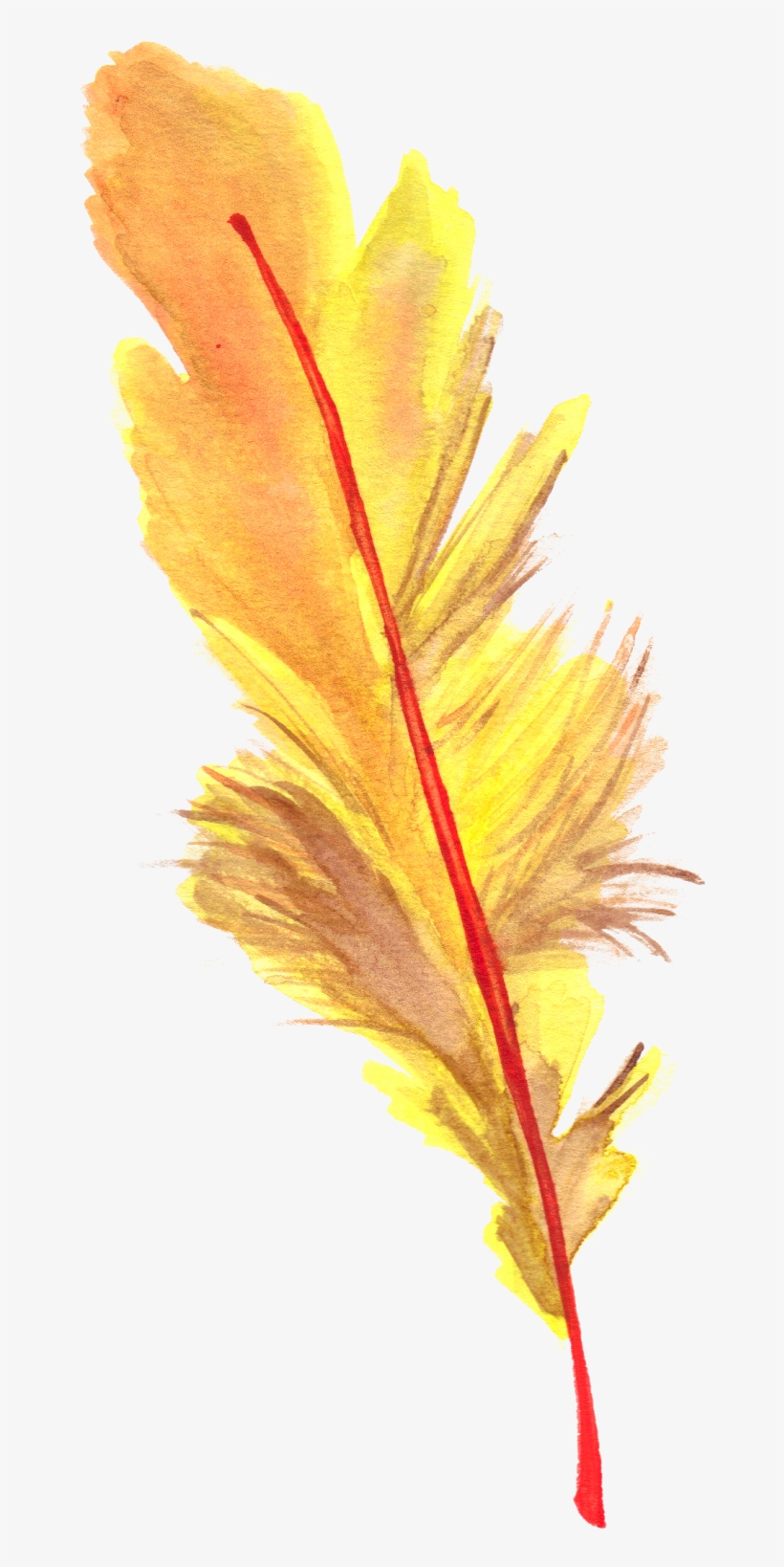 Feather Decoración De Unas, Google Drive, Pluma, Plumas, - Picsart Photo Studio, transparent png