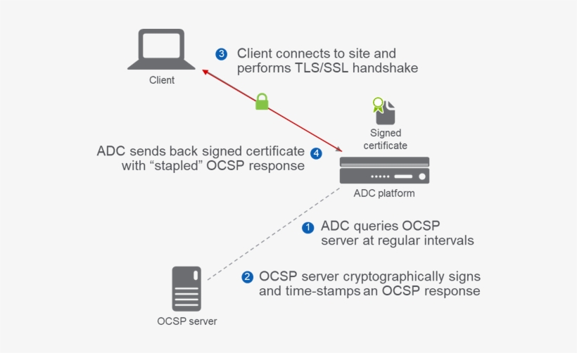 Ocsp Stapling 1 - Ocsp Stapling, transparent png