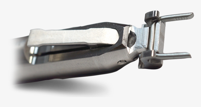 Nipper, transparent png