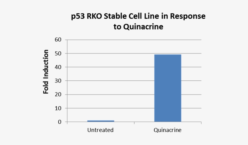 Analysis Of P53 Pathway Reporter Rko Stable Cell Line - Niger, transparent png