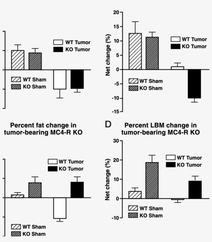 A, Mc3 Rko Mice Lose A Similar Amount Of Body Fat As - Diagram, transparent png
