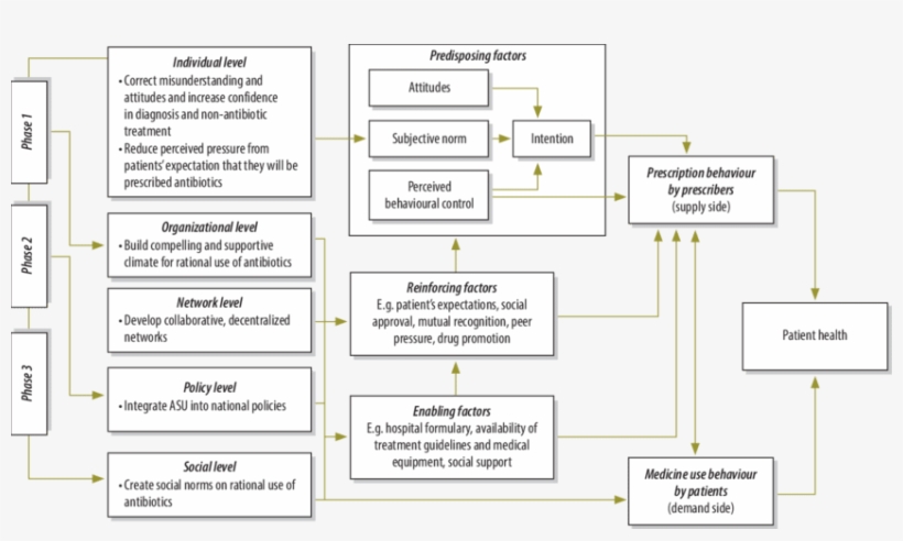 Conceptual Framework Of The Antibiotics Smart Use Model - Conceptual Framework On Antimicrobial Resistance, transparent png