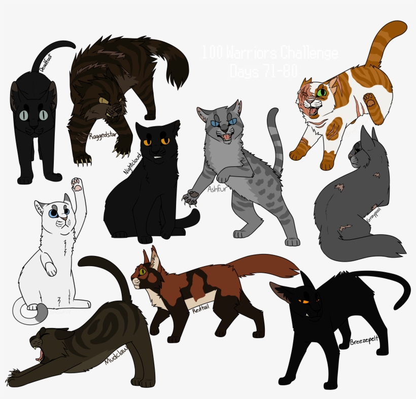 100 Warriors Challenge Days 71-80 - Cat, transparent png