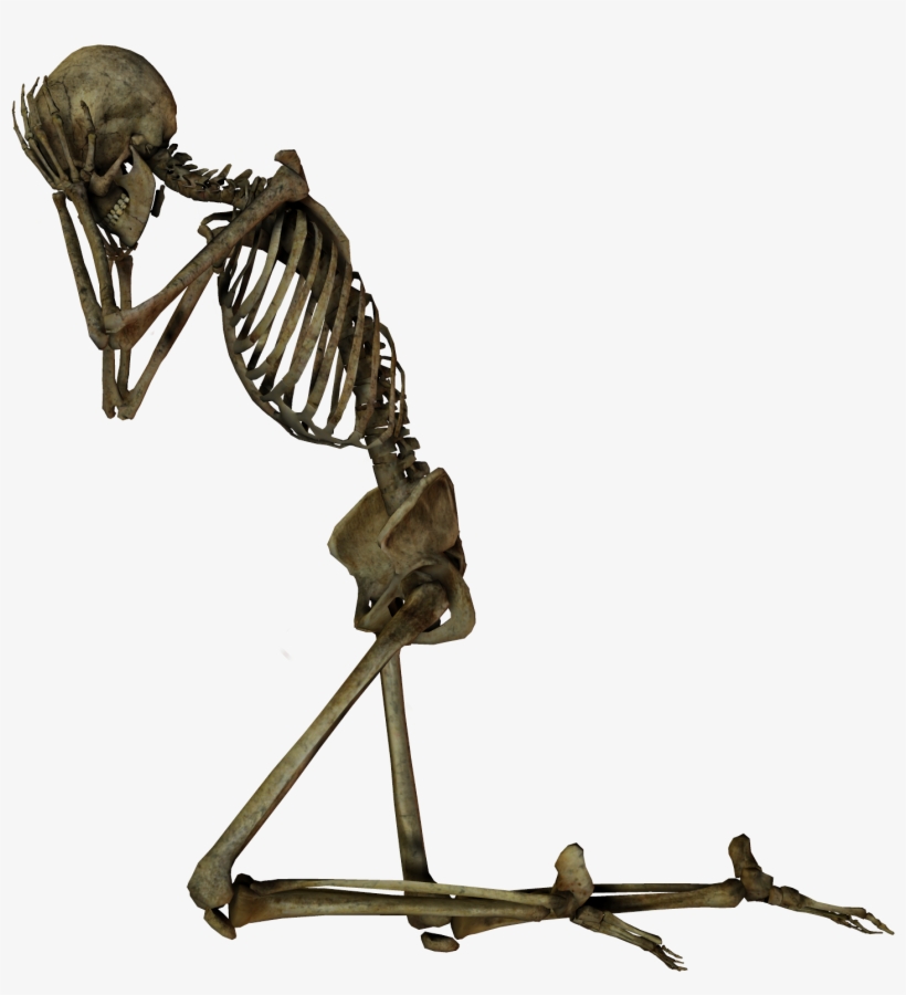 Stock Images Png Clip Transparent Stock - Stock Photo Png, transparent png