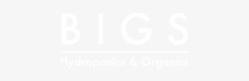 1491350509728 - White Colour Dp For Whatsapp, transparent png