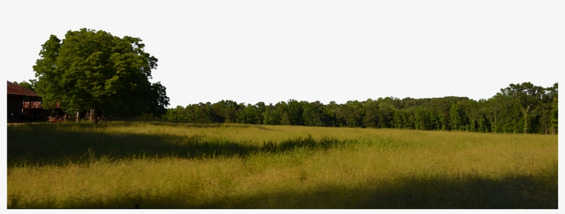 Field And Trees Background Png Stock 0038 Copy 5 By - Klse:ptb, transparent png