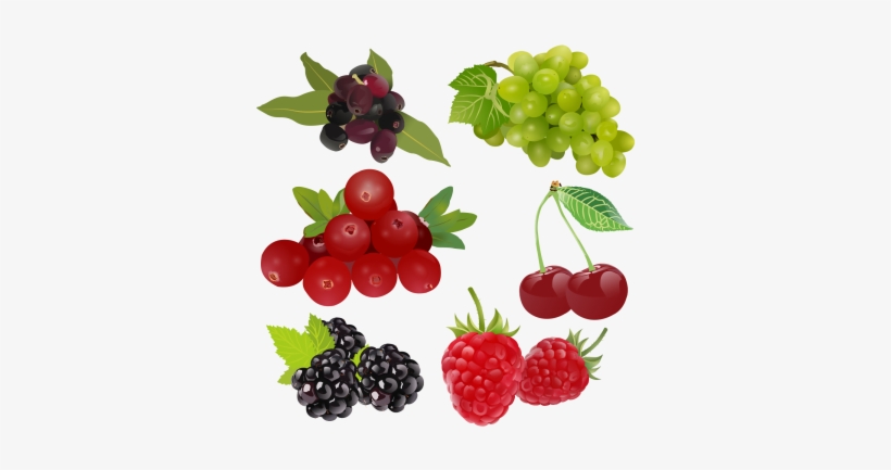 1 Of 4 Fruit Set Drawing 3d Stock, Set Clipart, Exquisite - Fruits Drawing Hd, transparent png