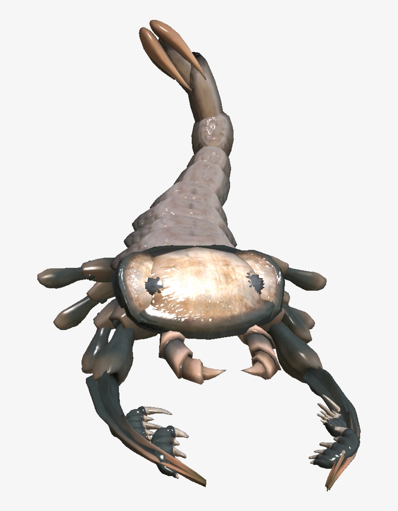 Http - //vignette2 - Wikia - Nocookie - - Portable Network Graphics, transparent png