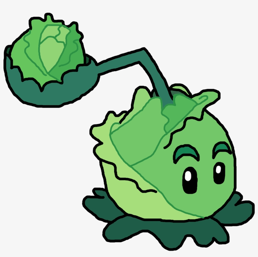 Picture Library Cabbage Drawing Water - Plants Vs Zombies Characters Drawing, transparent png