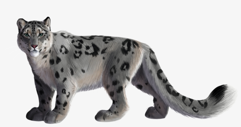 Original Art By Kacey Barton - Snow Leopard Png, transparent png