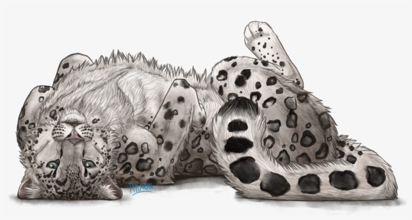 Snow Leopard By Riixon-d5q5na9 - Draw A Snow Leopard, transparent png