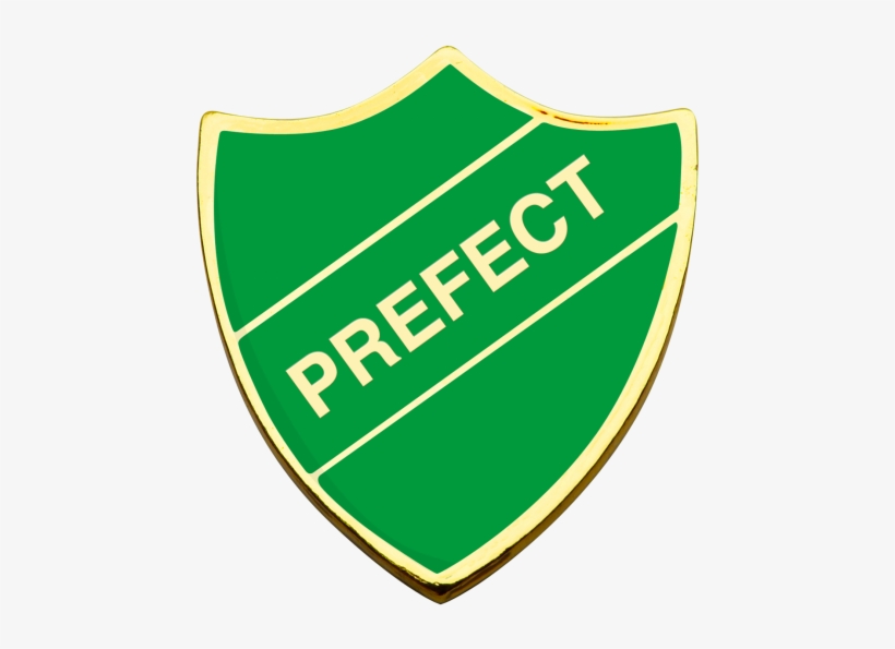 Prefect-slytherin - Head Boy Of School, transparent png