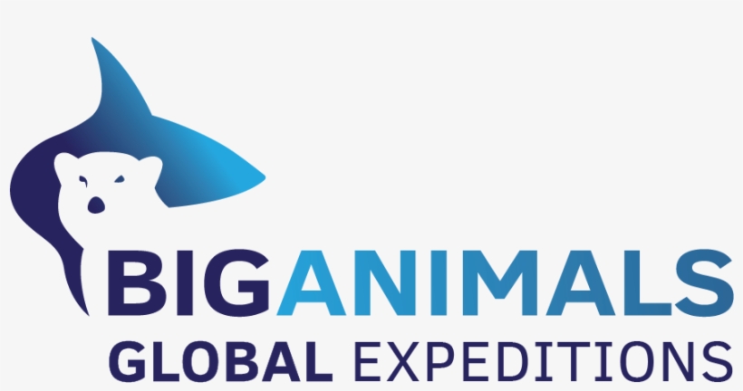 Big Animals Expeditions, transparent png