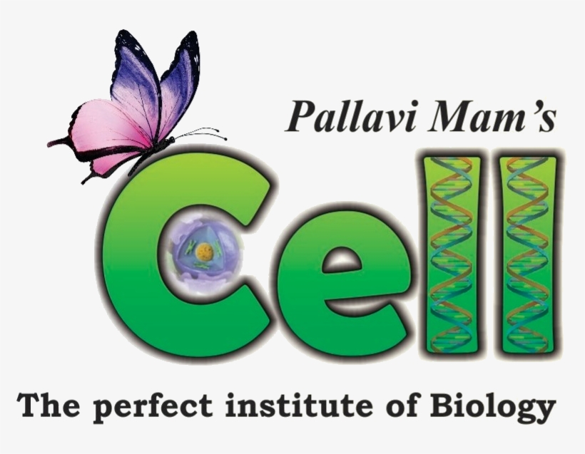 Cell Academy Logo - Cracking The Grief Code: The Healing Power H Experience,, transparent png