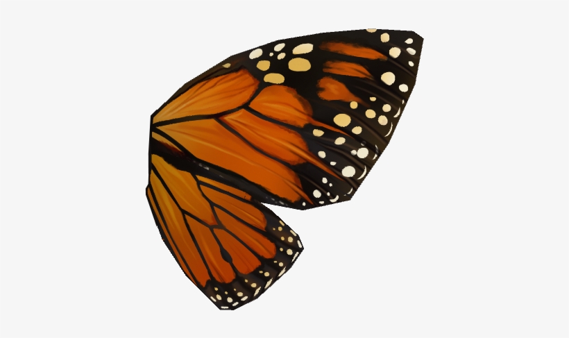 10 Pm 186711 Stonewall - Right Wing Of A Butterfly, transparent png