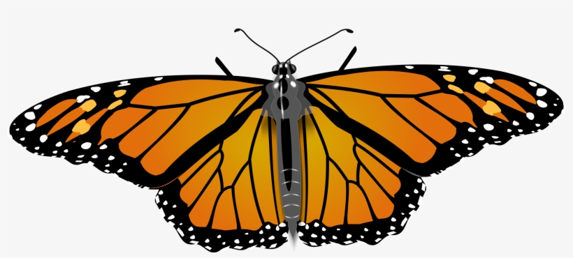 Open - Monarch Butterflies Sticker, transparent png