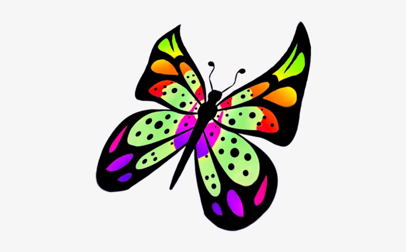 Monarch Butterfly Beautiful Pencil And In Color - Flying Butterfly Clip Art, transparent png
