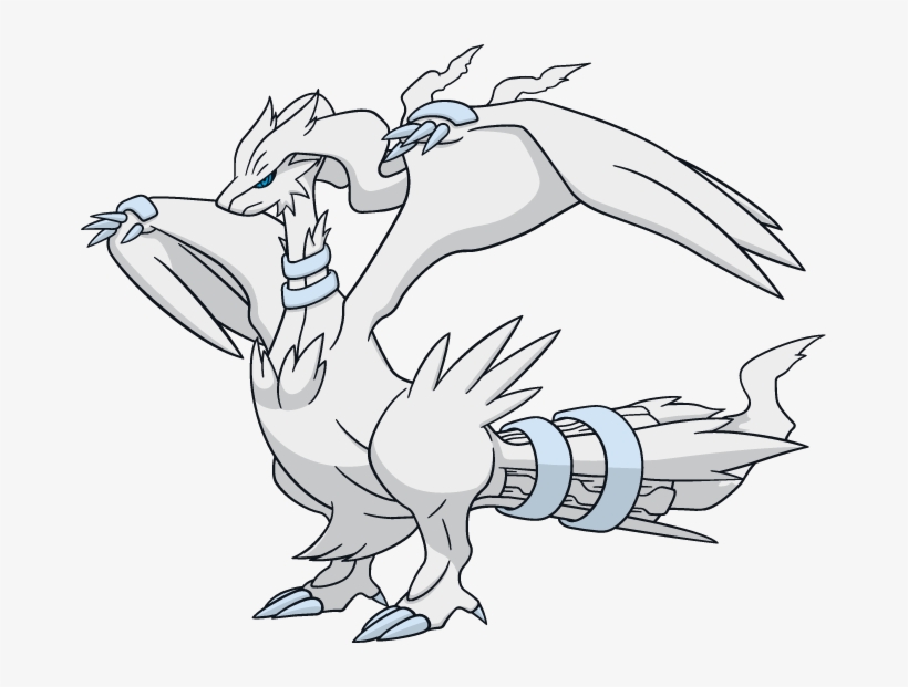 Ya Se Ha Confirmado De Que La Próxima Película De Pokémon - Pokemon Reshiram, transparent png