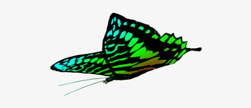 Free Butterflies Drawings - Green Butterfly In Flight, transparent png