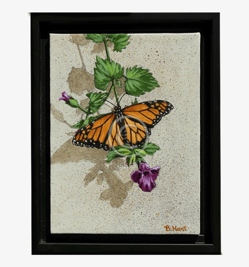 Butterfly - Picture Frame, transparent png