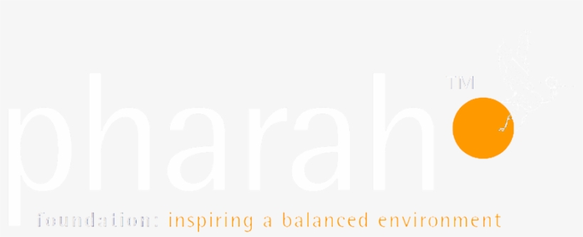 Pharah Foundation - Circle, transparent png