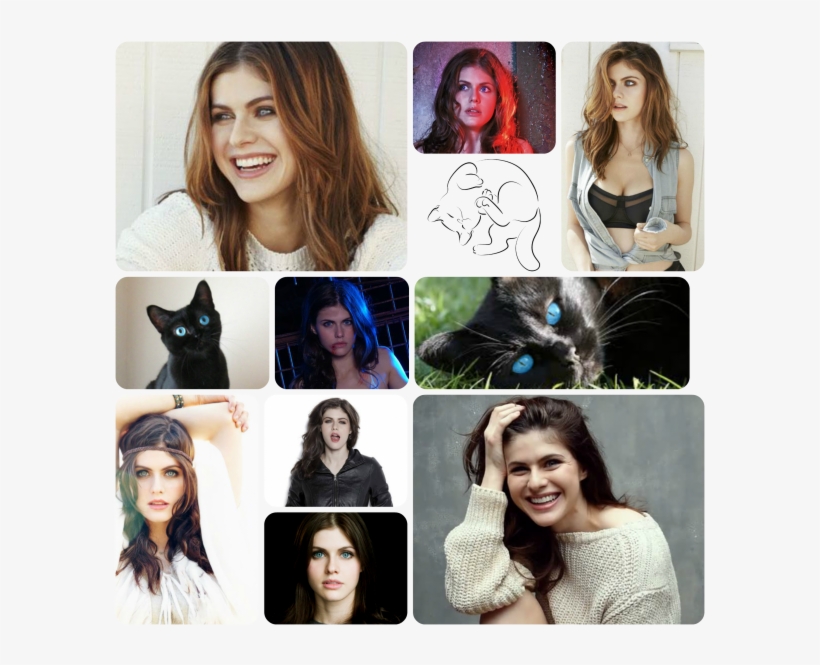 Kayleescollage - Alexandra Daddario Poster 24x36, transparent png