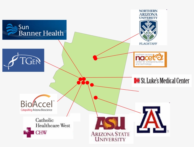Bioaccel Created The Coalition For Bioscience Commercialization - Arizona State University, transparent png