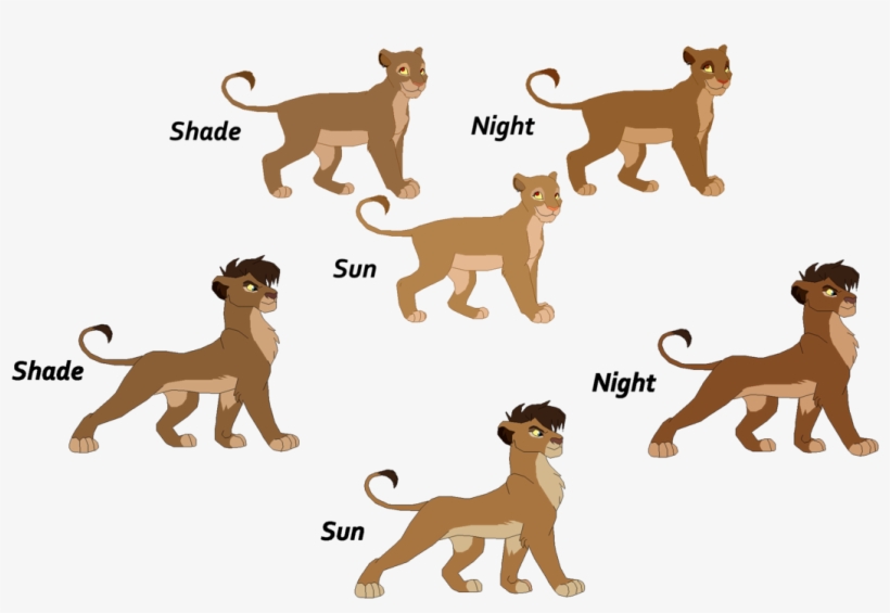 Lion King 3 Cubs By J Dove Lion King Cubs Names 1089x734 PNG Download PNGkit