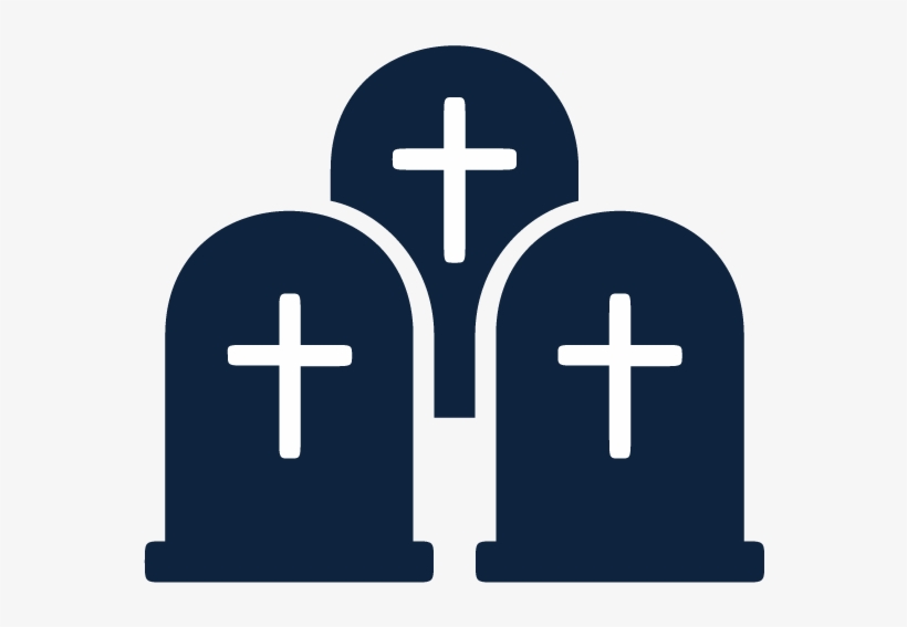 27 Am 8651 Rabbit 2/19/2016 - Marseille, transparent png