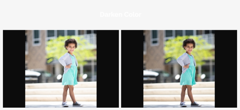 Tamara Lackey Color For Dayz Luts - Snapshot, transparent png