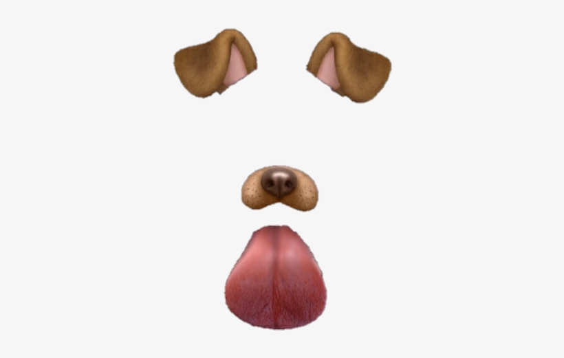 Filtros Tumblr - Snapchat Dog Filter, transparent png