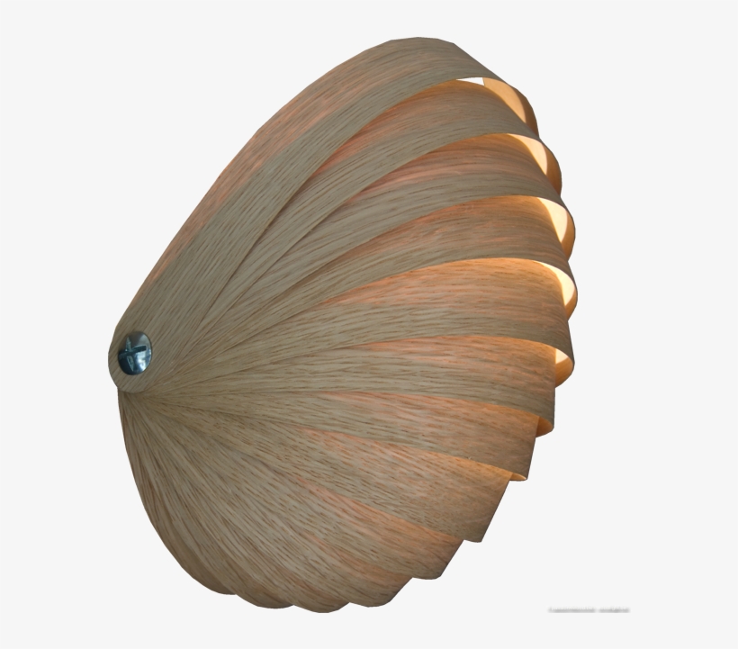 Nautilus Wandlamp-light In The Shape Of A Nautilus - Wandlamp Fineer, transparent png
