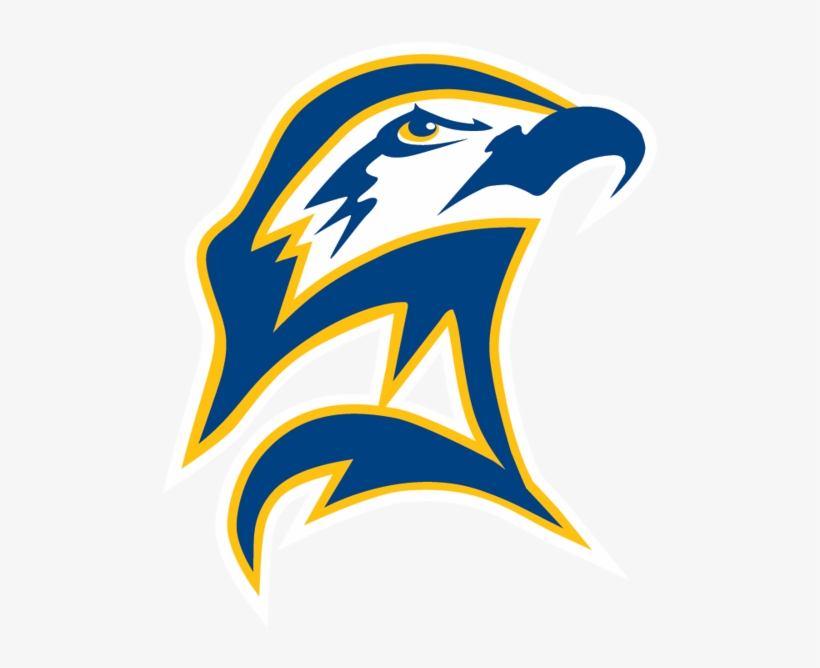 Seahawk Logo - St Mary's Seahawks, transparent png