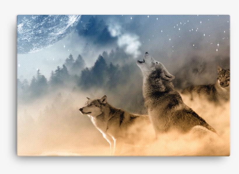 Wolves Canvas, transparent png